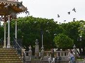 Cómo llegar Sayula auto