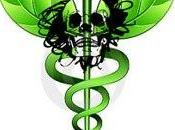 ¿Eres alimentan cáncer hierbas mágicas?