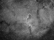 Nebulosa trompa elefante 1396)