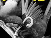 Justin Bieber BloodPop publican single ‘Friends’