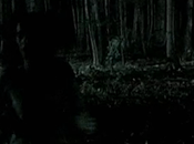 2006