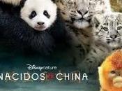 edición Green Film Fest: programación