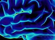 cosas debes hacer cada para aumentar inteligencia