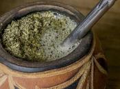 ¿Para sirve yerba mate?