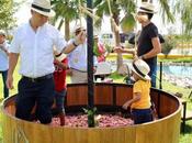 Cierra exitosamente “Primer Vendimia Potosina 2017”