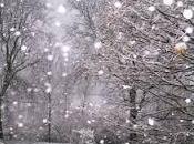 significado soñar copos nieve.