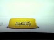 Varios perros invaden cine este adorable anuncio comida para mascotas