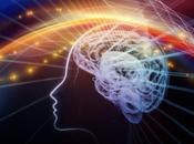 cerebro mujeres activo hombres?