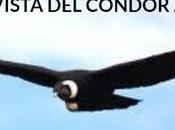 vista condor zuliano