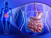 Infecciones intestinales parásitos ténia