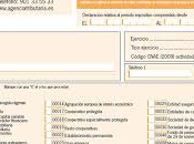 ¿Cuánto paga impuestos España?,¿Qué impuesto sociedades?¿Qué tipos existen?
