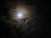 Halos