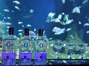 Mixología submarina