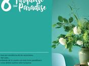 Agosto: Interiores Azul Turquoise Paradise