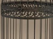 ¡Enjaulad dodo, favor! cuento todas psicoterapias igual eficaces (PDF)