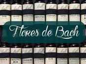 Flores Bach Cambios Vuelta cole