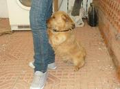 Nala, tesoro trastero