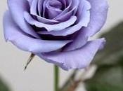 Marzo 2011