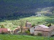 Salcedillo