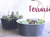 DIY: Mini terrarios