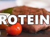 ¿Que Alimentos contienen Proteínas cual función? esto