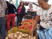 Pelusa... 2.938.277,19 subió Canasta Básica agosto según Cendas-FVM #Venezuela #Economia