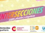 INTERSECCIONES LGBTI Plurales Singulares