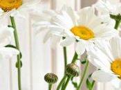 Remedios caseros para estrés: baño relajante