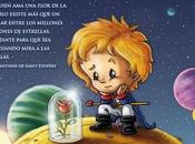 Amor, piensas sientes?