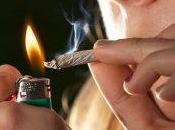 ¿Sabías cómo actúan drogas consumidas España sobre nuestro cerebro?