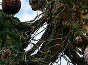 Tips para Pandora World Avatar