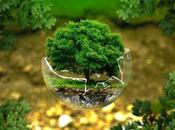 ¿Conoces beneficios Zeolita?