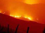 Fuego!! arde vida!!!!