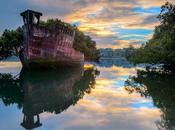 Arquitecturas olvidadas: ayrfield, bosque flotante