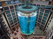 Peces hotel