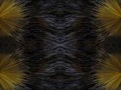 Venerdí Photosatriani