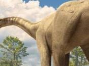 Paleontólogos resolvieron misterio millones años