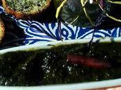 Mermelada espinacas tropezones ......gran descubrimiento