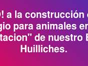 Huiliches dice Adriana Figueroa Construccion refugio animales