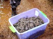 Ciudadano chino descubre cinco toneladas monedas antiguas ocultas casa