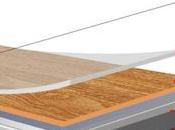 dilema tarima flotante, gato liebre