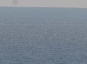 importancia imperceptible