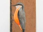Il·lustració ocell Pica-soques Ilustración pájaro Carpintero