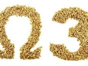 Ácidos grasos esenciales Omega