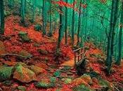 Cuando aquella tarde...