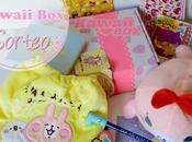 Kawaii Sorteo