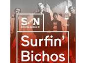 Surfin' Bichos Tortel Cool stage Madrid