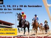 Jornada Carreras Caballos Gran Hipódromo Andalucía