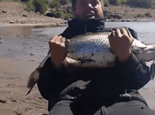 trucha kilos capturada Alicurá