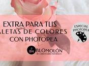 Extra Para Paletas Colores Photopea